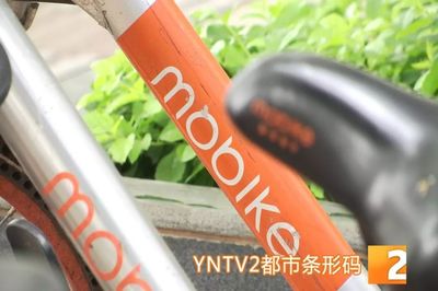 昆明共享單車管理升級(jí) 違停摩拜將罰款，ofo小黃車批量封存