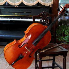 泰興市韻音樂(lè)器廠 專業(yè)樂(lè)器零售，專注提琴品質(zhì)