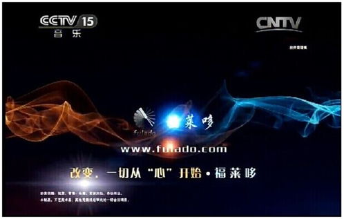 福萊哆樂(lè)器城 專業(yè)樂(lè)器零售與精致店鋪體驗(yàn)