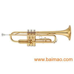 專業(yè)樂器供應(yīng) 批發(fā)零售全新原裝正品雅馬哈、卡西歐、美德理、羅蘭電子琴